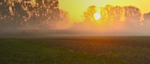 Puesta de sol y gramo BASF Argentina Puesta de sol y gramo BASF Argentina