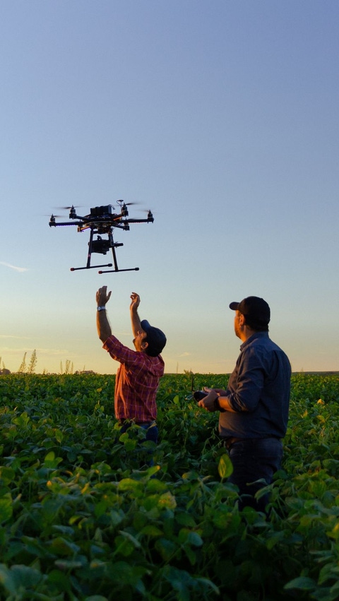 AR-Drone-en-campo-soja AR-Drone-en-campo-soja