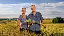 A female and a male farmer standing on a field holding a bunch of wheat A female and a male farmer standing on a field holding a bunch of wheat