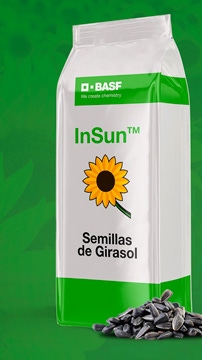 AR INSUN Semillas de Girasol BANNER AR INSUN Semillas de Girasol BANNER