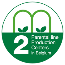 2 parental line production centers in Belgium 2 parental line production centers in Belgium